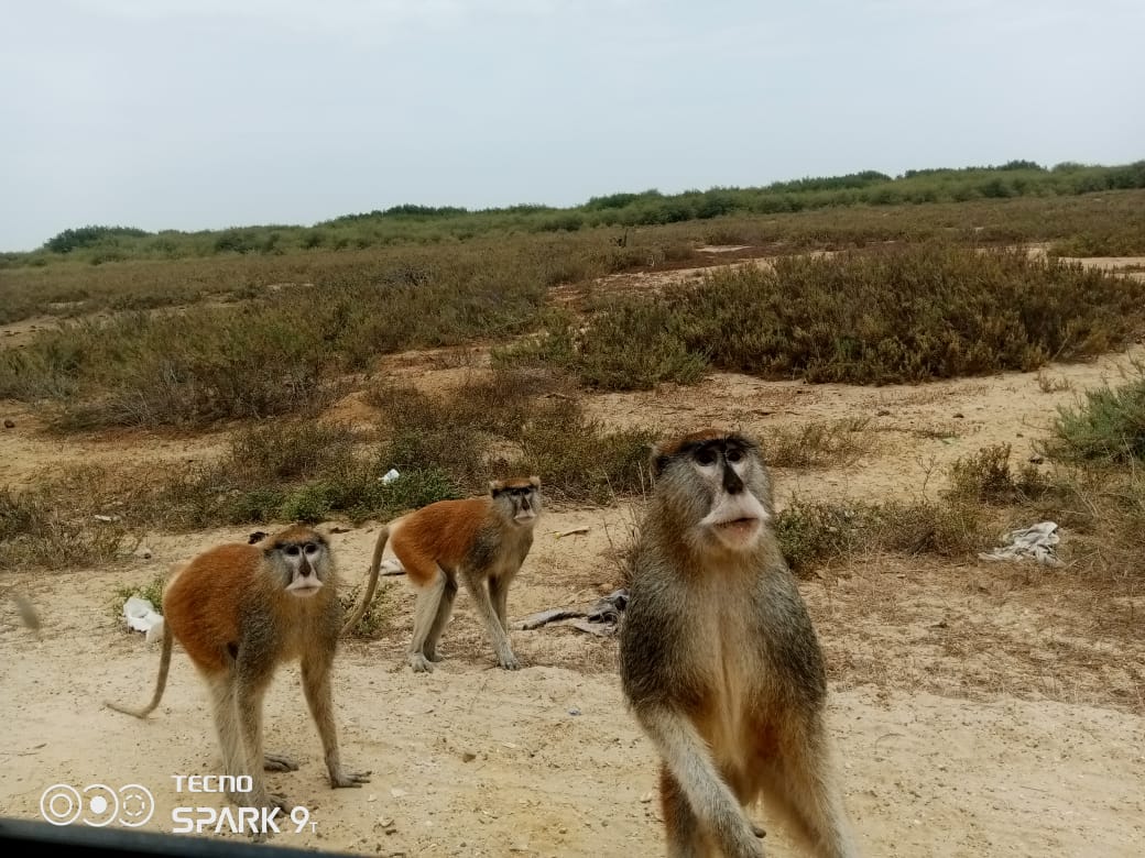 PHOTO-2025-09-09-23-34-01_2