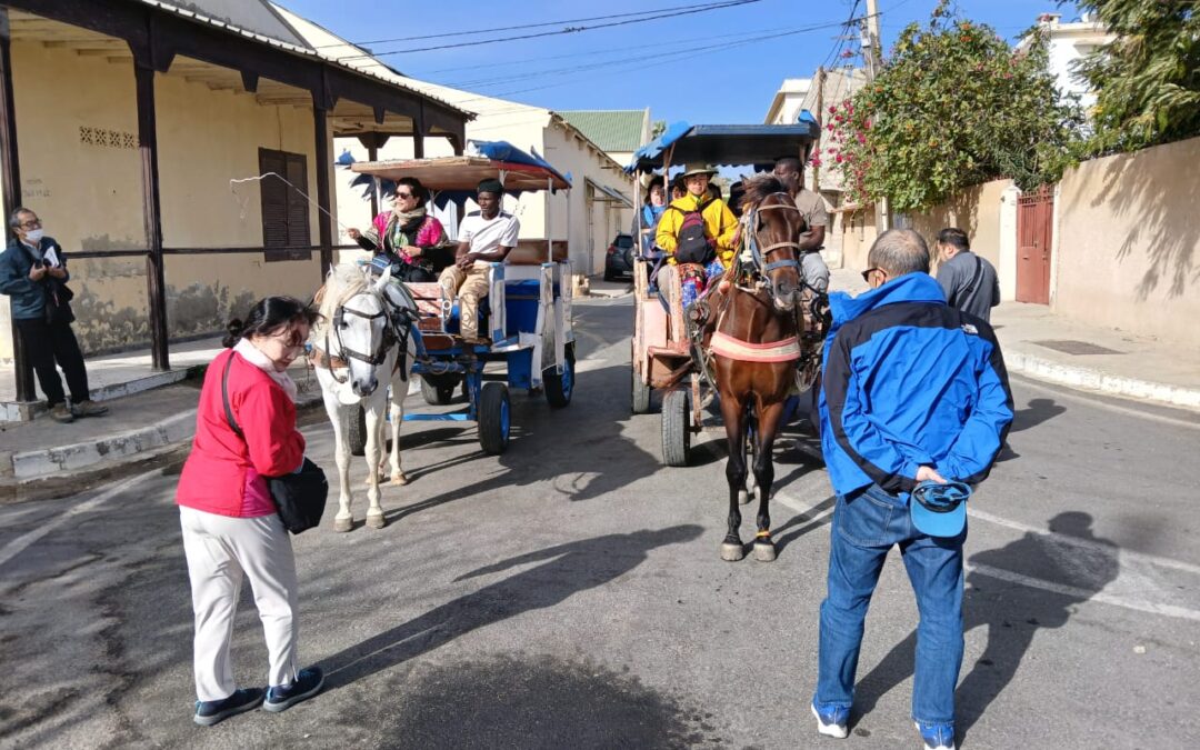 Quand partir au Sénégal ? Périodes, Climat, Conseils